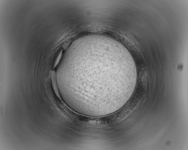 X0000098160744200805011430
