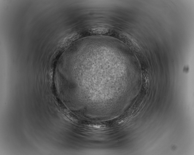 X0000098160745200805011430