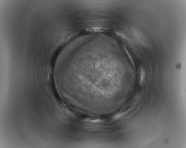 X0000098160747200805011430