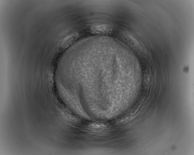 X0000098160749200805011430