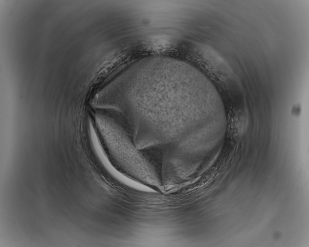 X0000098160750200805011430