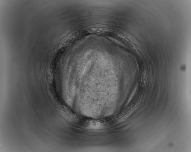 X0000098160751200805011430