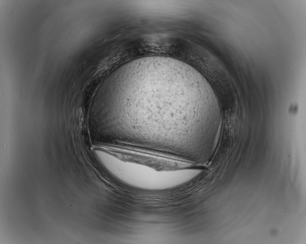 X0000098160752200805011430