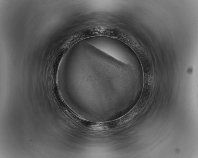 X0000098160754200805011430