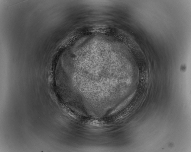 X0000098160755200805011430
