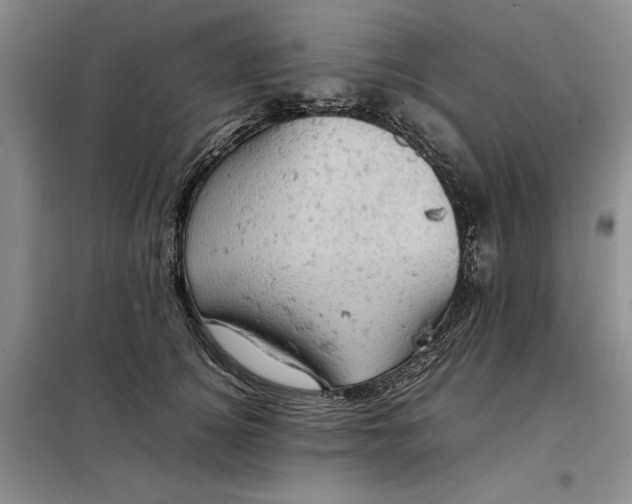 X0000098160756200805011430