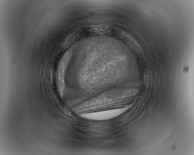 X0000098160757200805011430