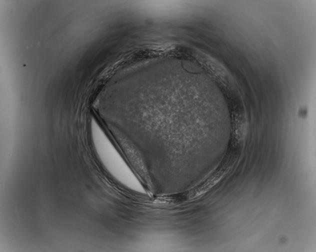 X0000098160758200805011430