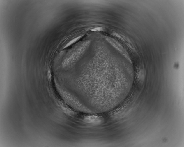 X0000098160759200805011430