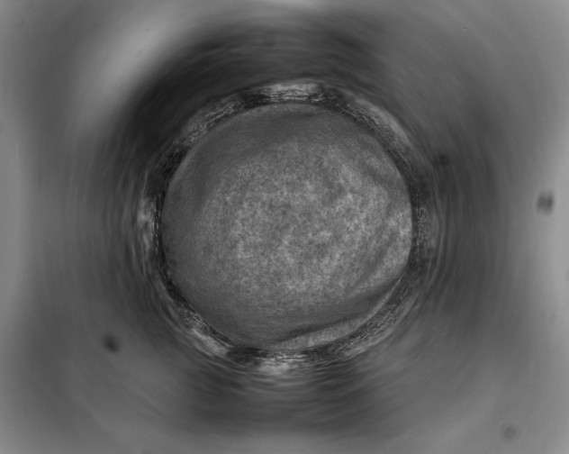 X0000098160761200805011430