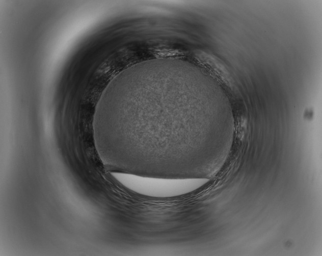 X0000098160763200805011430