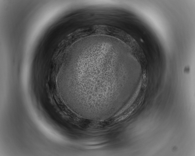 X0000098160765200805011430