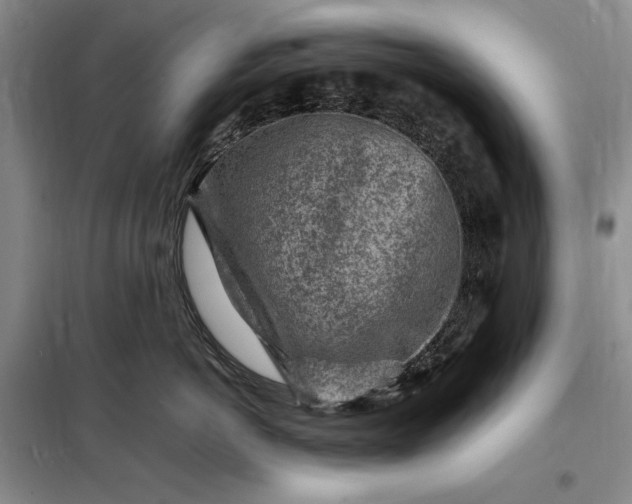 X0000098160766200805011430
