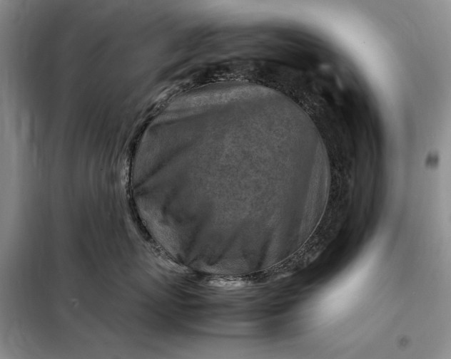 X0000098160767200805011430