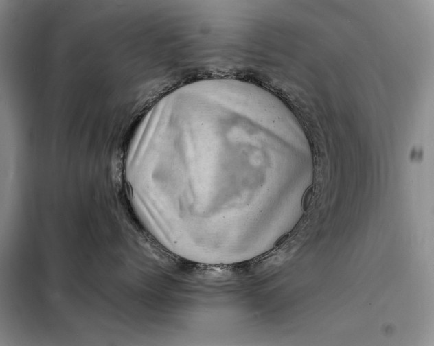 X0000098160768200805011430