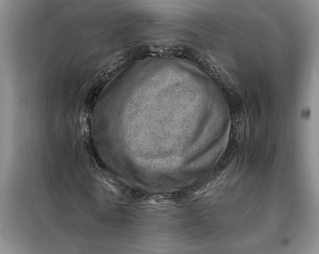 X0000098160770200805011430