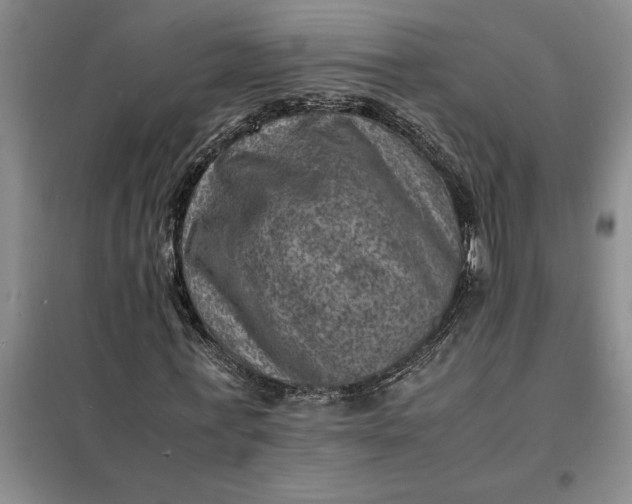 X0000098160771200805011430