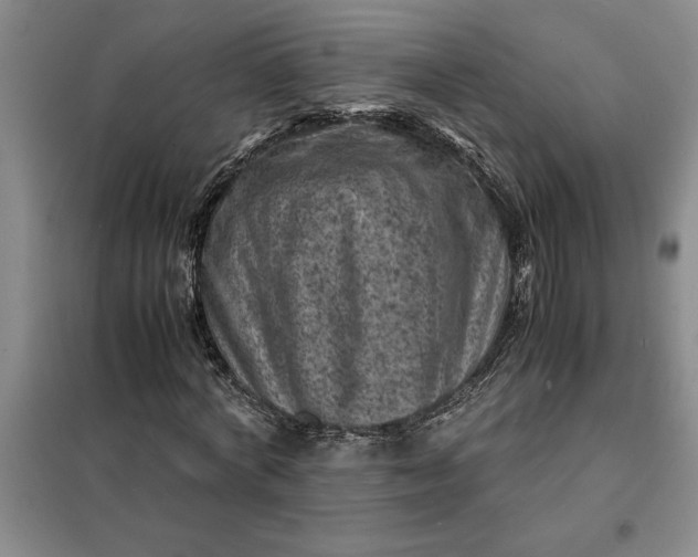 X0000098160772200805011430