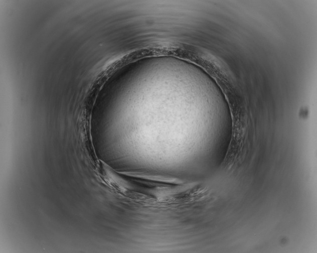 X0000098160773200805011430