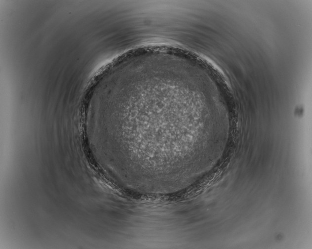 X0000098160775200805011430