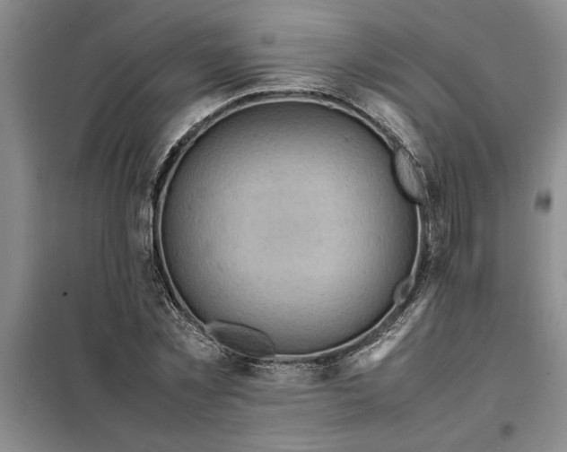 X0000098160781200805011430