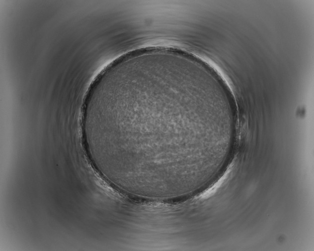 X0000098160783200805011430