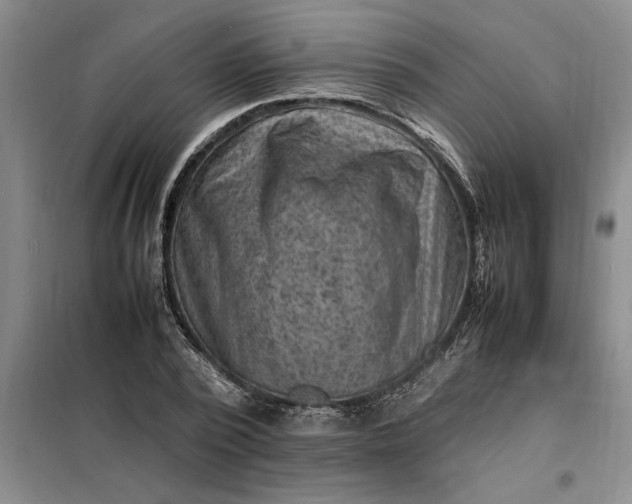 X0000098160784200805011430