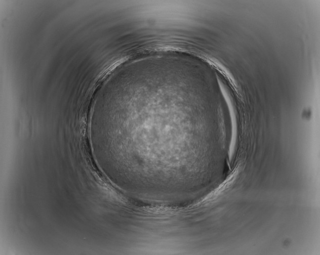 X0000098160785200805011430