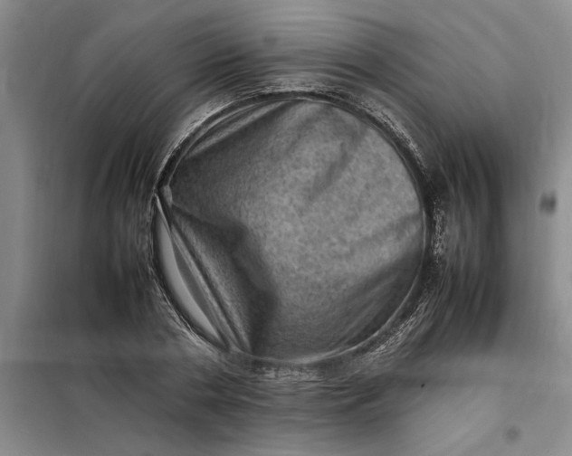 X0000098160786200805011430