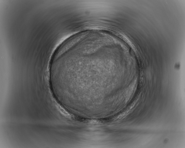 X0000098160787200805011429