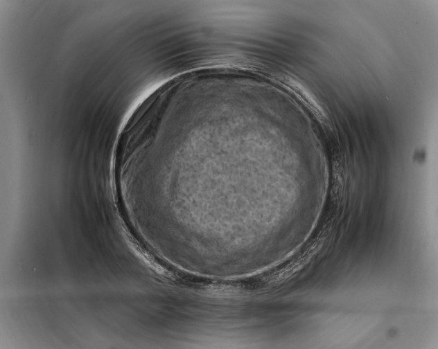 X0000098160788200805011429