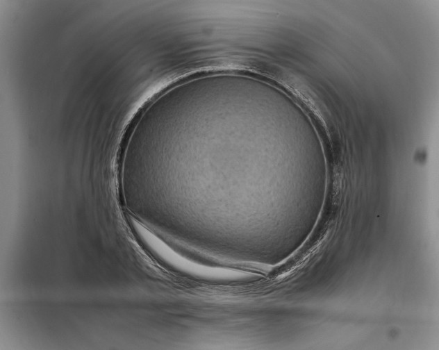 X0000098160789200805011429
