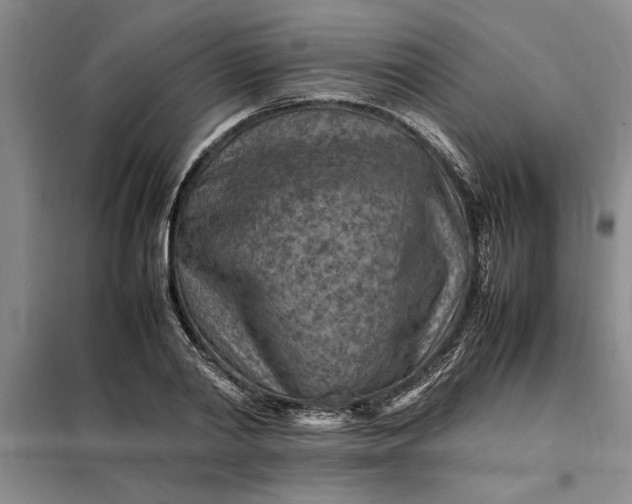 X0000098160790200805011429