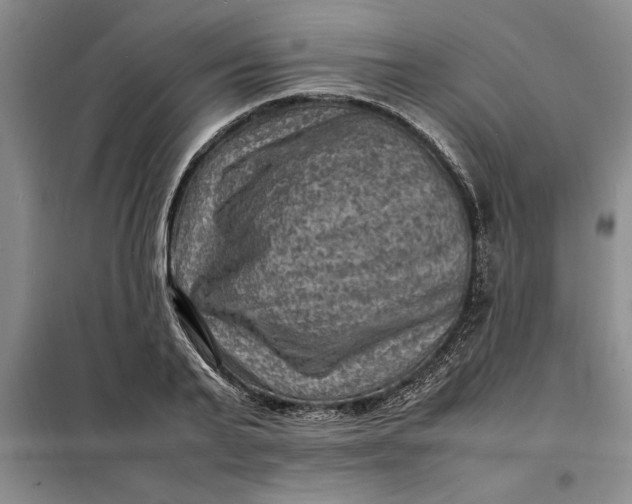 X0000098160791200805011429