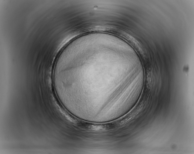 X0000098160794200805011429