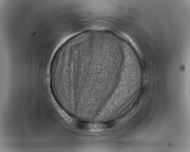 X0000098160795200805011429