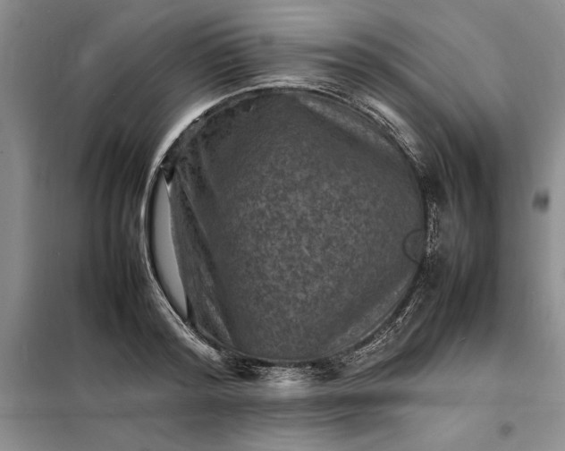 X0000098160796200805011429