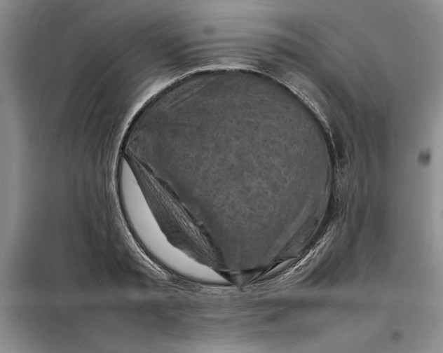 X0000098160797200805011429