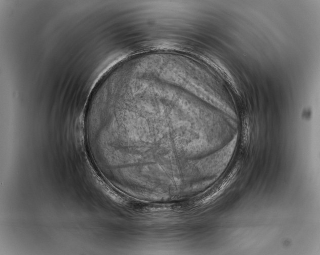 X0000098160798200805011429
