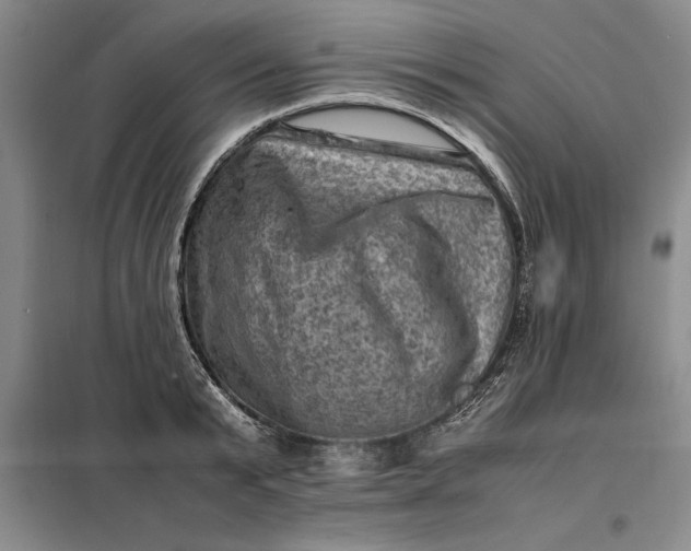 X0000098160799200805011429