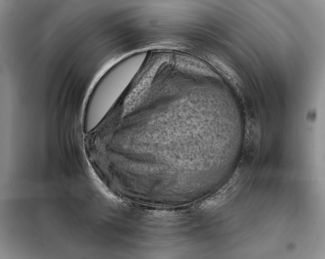 X0000098160800200805011429