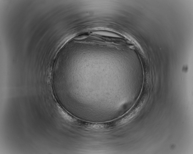 X0000098160801200805011429