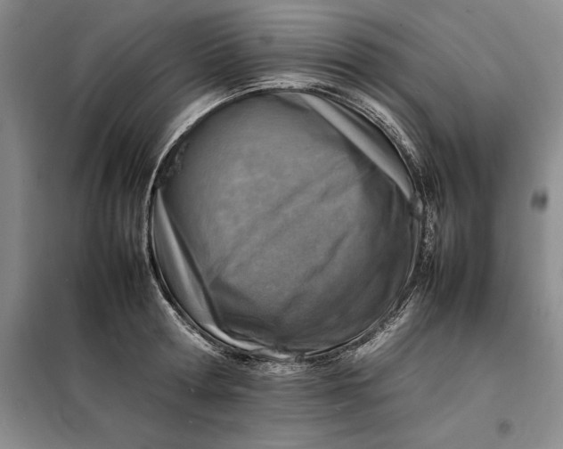 X0000098160802200805011429