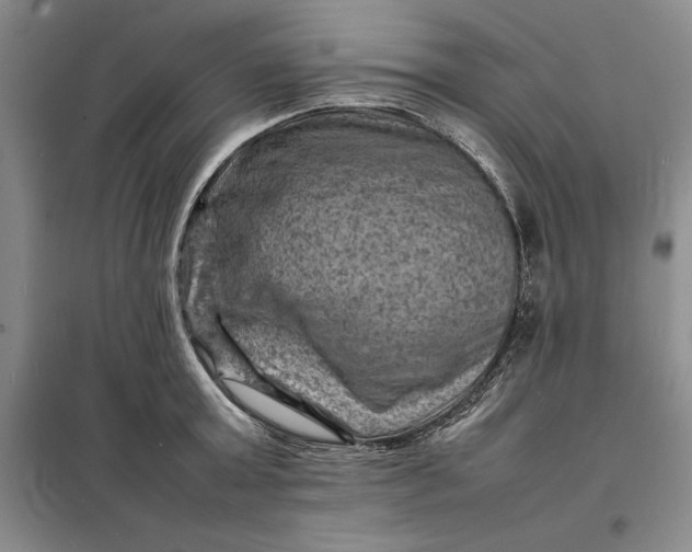 X0000098160803200805011429