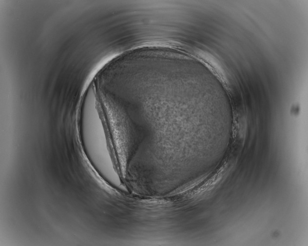 X0000098160804200805011429