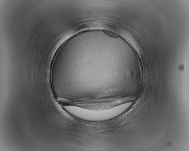 X0000098160805200805011429