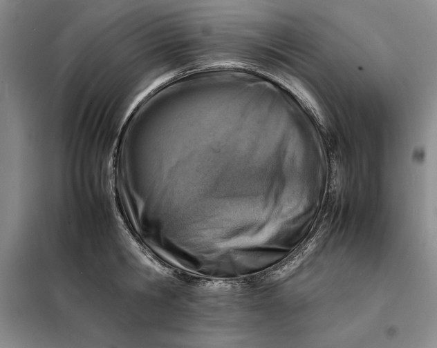 X0000098160806200805011429