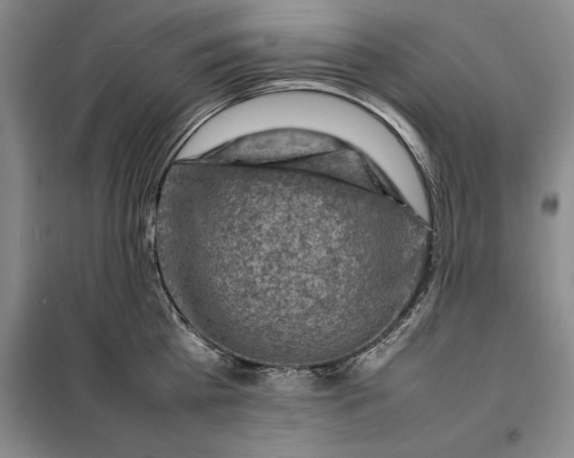 X0000098160809200805011429