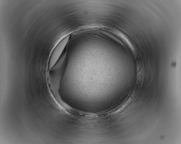 X0000098160810200805011429