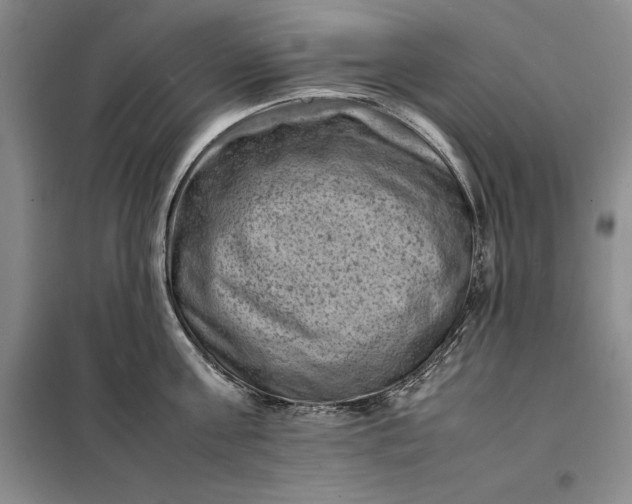 X0000098160811200805011429